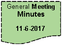 Flowchart: Document: General Meeting Minutes11-6-2017