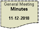 Flowchart: Document: General Meeting Minutes11-12-2018